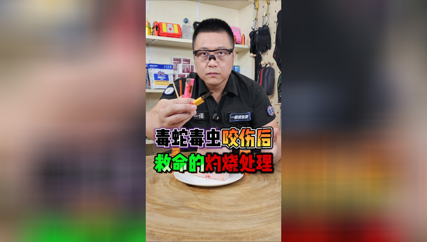 爱奇艺 吃相,今天一肖一码100正确,确保成语解释落实的问题_粉丝版V13.58