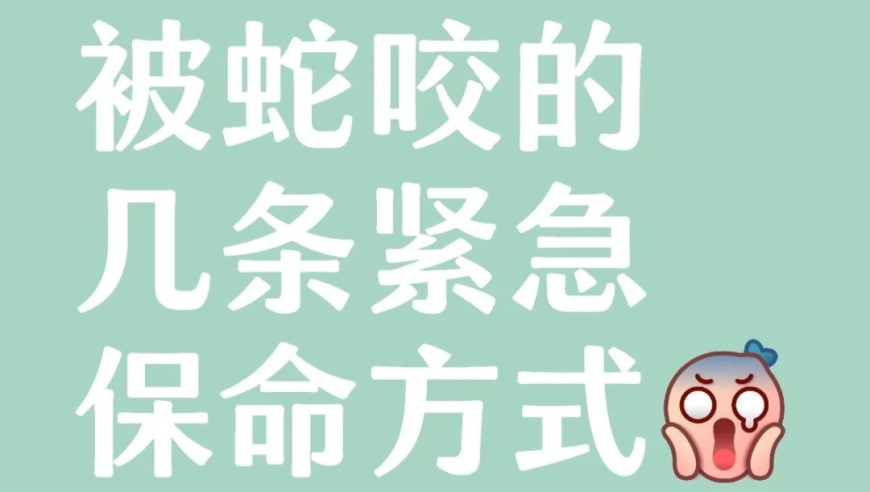 表姐用表妹名义贷49万买豪车后失联,香港最准最快资料二四六天天彩资料大全网,广泛的解释落实支持计划_静态版V4.58
