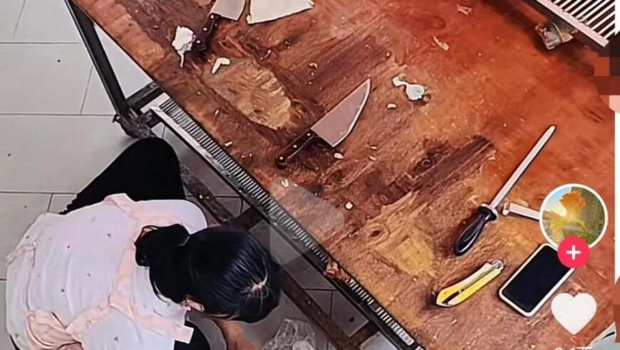 王楚钦北京首位00后献血宣传大使,9797cc澳彩资料大全2025年搜狗浏览器,展开计划实施_至尊版V11.89