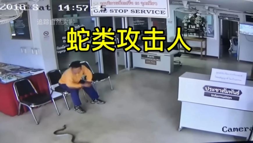 香港10669m查询澳彩结果,锦瑟无端五十弦到底多少根弦,动态词语解释落实_权威版V14.90